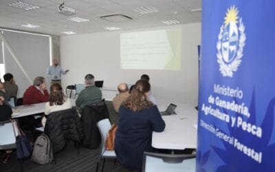 Taller para la cadena agroexportadora y experiencias piloto de certificación.