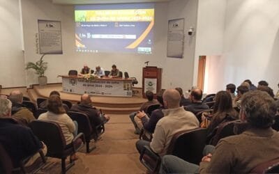 Contra los desafíos del clima, el sector arrocero logró el cuarto rendimiento más alto de su historia.