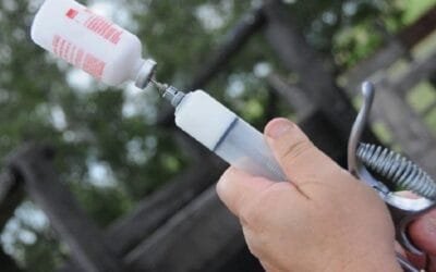 Están los calendarios de distribución de vacunas contra aftosa, período 15/6 al 15/7.