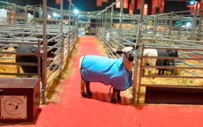 La participación de estudiantes uruguayos en la exposición argentina es “una experiencia inolvidable”.