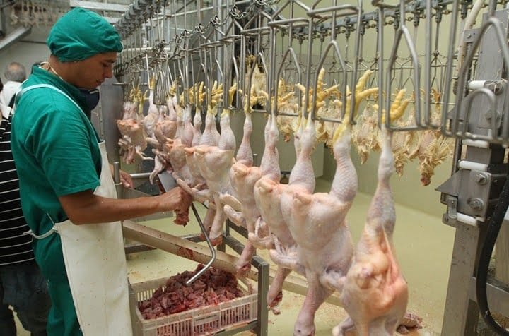 España celebra la apertura del mercado chino para su carne de ave.