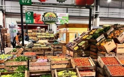 Cooperativas frutihortícolas presentaron proyecto Agrotic.