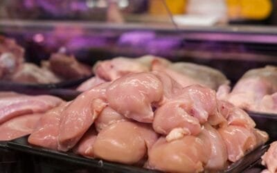 El MGAP no tiene conocimiento de irregularidades en la cadena avícola, como fuera denunciado.