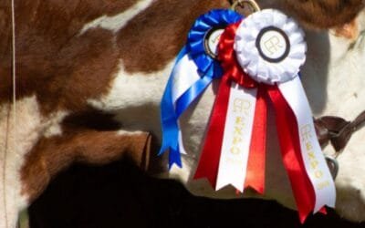 En Paraguay continúa la Expo Rural 2024.