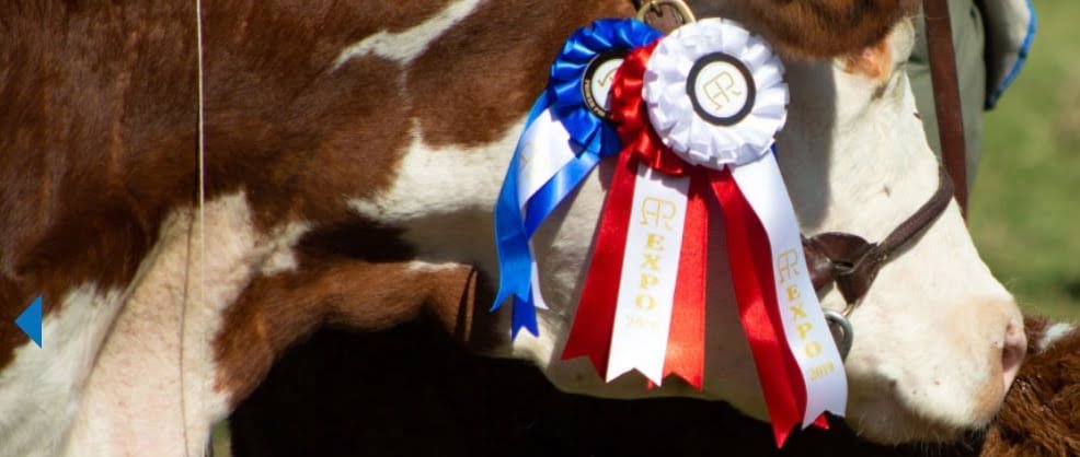 En Paraguay continúa la Expo Rural 2024.