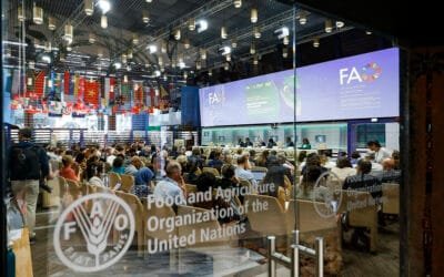 Uruguay destacó esfuerzos en bioeconomía y sobre políticas para conservar el bosque nativo.