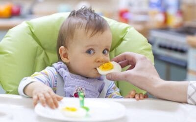 Prevención de la influenza aviar: ¿podría la vacuna apoyar la seguridad del huevo?