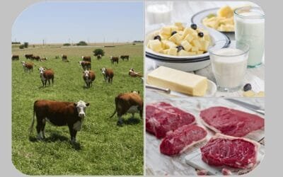 El sector agroindustrial aporta entre el 14% y 16% del PIB del país.