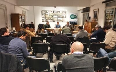 Mercado de ganados: baja oferta y mercado firme.