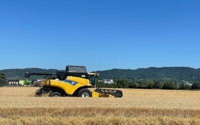 Distribución equitativa del valor de los productos básicos.