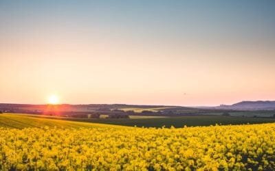 Convocatoria: Curso sobre comercialización de insumos de uso agrícola.