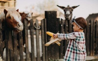 La tecnología de la información es clave para la prevención sanitaria y crear una estrategia regional.