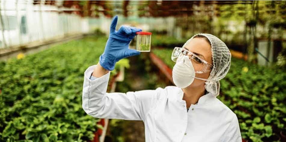 Chile toma la delantera en el impulso de la innovación biotecnológica en América Latina.