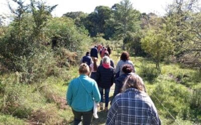 Dirección Forestal invita a participar del taller “Mujeres y bosque nativo”.