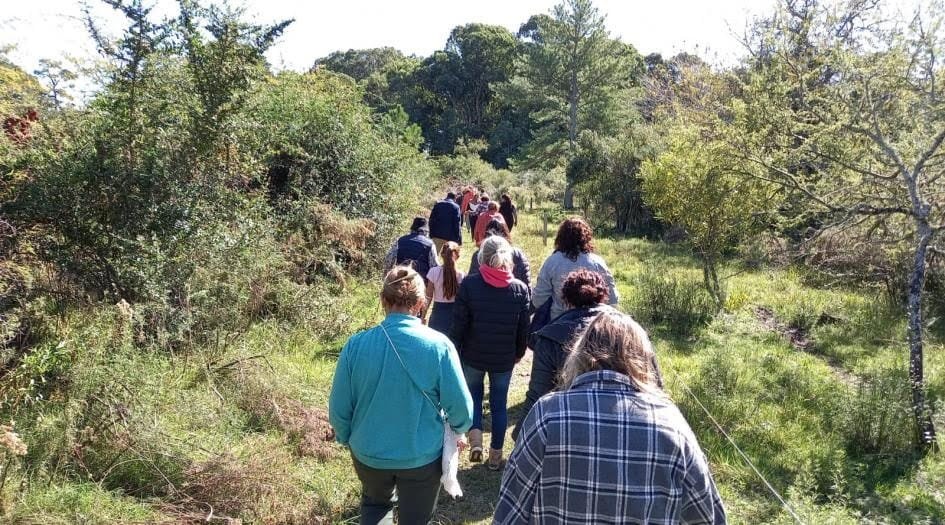 Dirección Forestal invita a participar del taller “Mujeres y bosque nativo”.