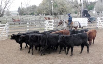 Leonardo Ruglio Bachino en Campanero, una pista dinámica y con valores destacados para varias categorías