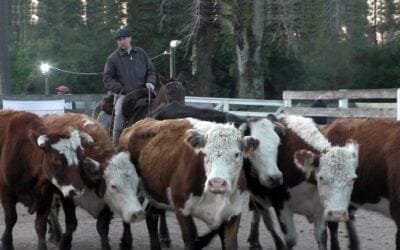 Ágil la pista, buenos los precios en el Campanero, con Leonardo Rublio Bachino. 