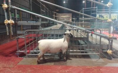 Esfuerzo conjunto de varias direcciones del MGAP en apoyo a la UTU que competirá en Palermo.