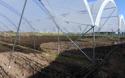 Se presentaron las estructuras metálicas de protección para productores hortícolas.