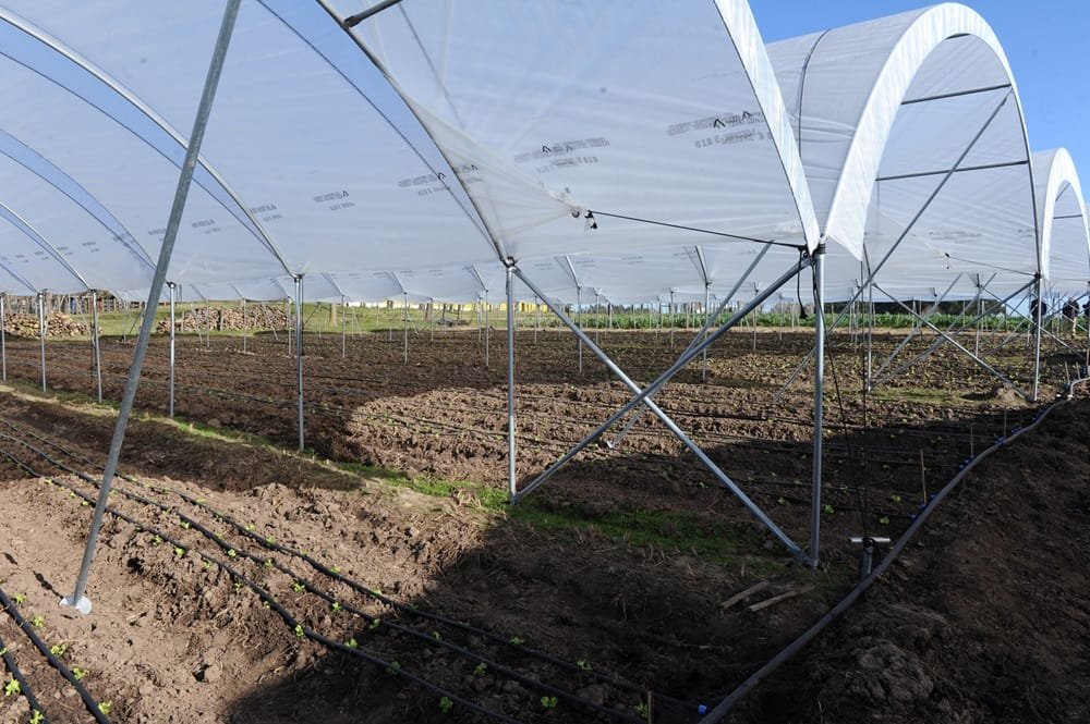 Se presentaron las estructuras metálicas de protección para productores hortícolas.