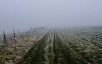 El frío resintió los ganados y no hay pasto natural