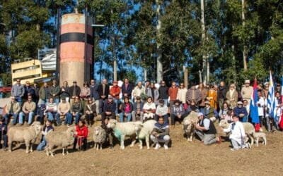 Con escaso apoyo del sector político, se realizó en Salto homenaje a la producción ovina.