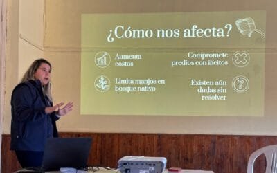 Capacitación de apicultoras en el registro de bosque nativo para poder cumplir con normativa europea.