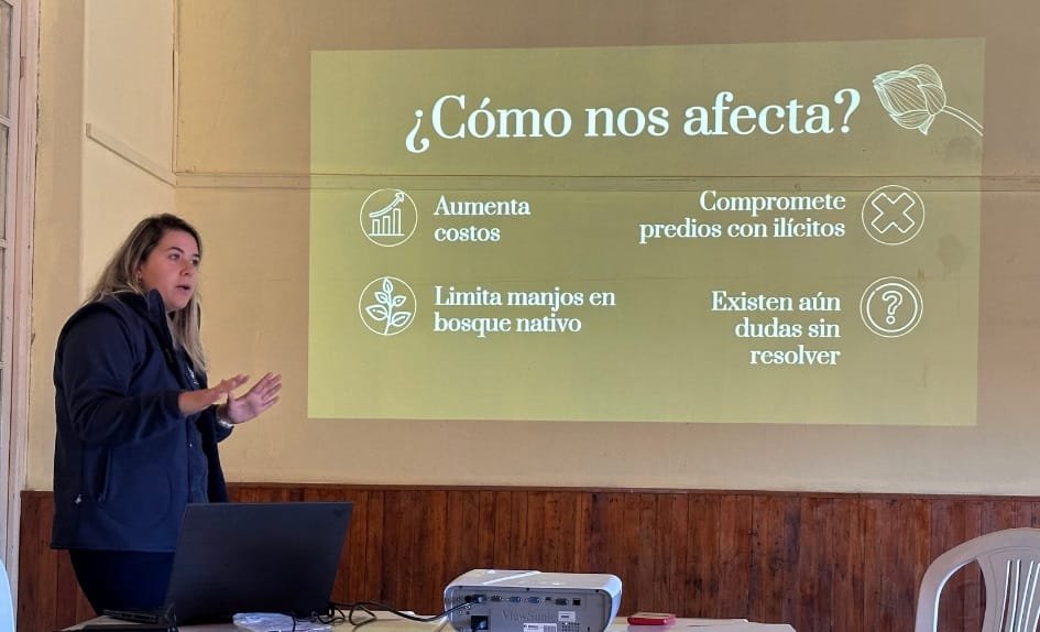 Capacitación de apicultoras en el registro de bosque nativo para poder cumplir con normativa europea.