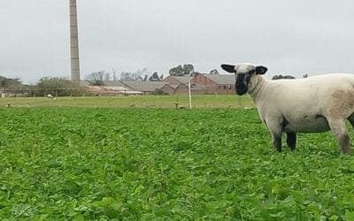 Por primera vez en su historia, UTU estará presente en la Expo Rural Argentina 2024
