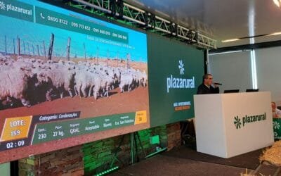 Plaza Rural, en su aniversario, vendió el 95% de la oferta.