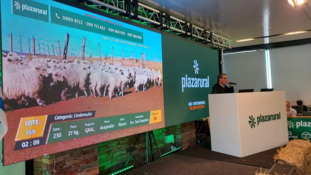 Plaza Rural vendió el 99,15% de la oferta de terneros.