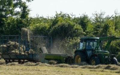 Autoridades de Salud, Ganadería y Ambiente presentaron entrenamiento sobre epidemiología de campo.