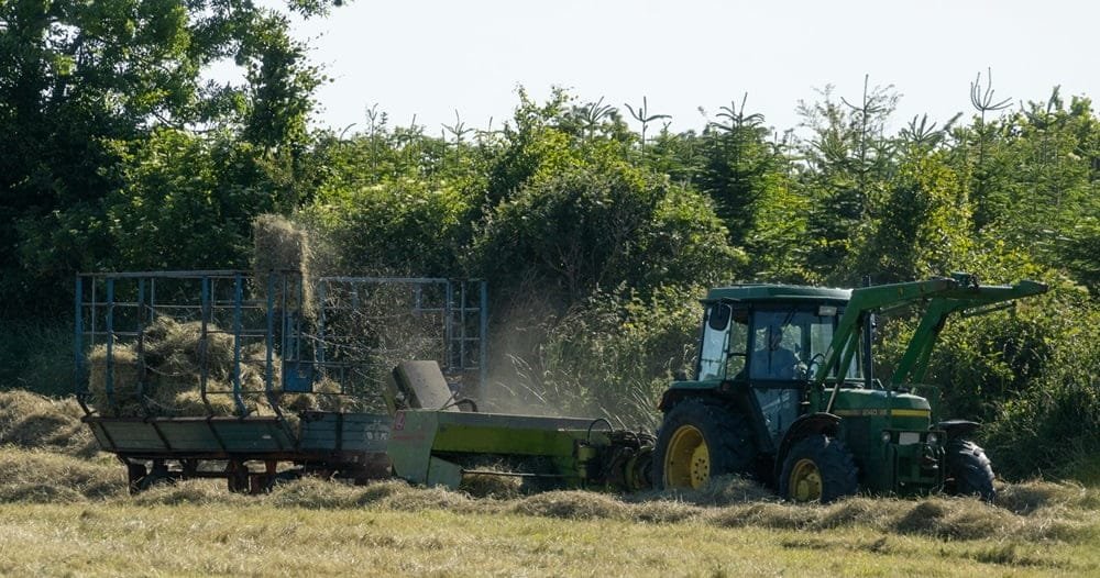 Autoridades de Salud, Ganadería y Ambiente presentaron entrenamiento sobre epidemiología de campo.