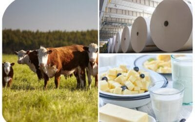 Montevideo, Colonia y Canelones, son los principales departamentos exportadores.