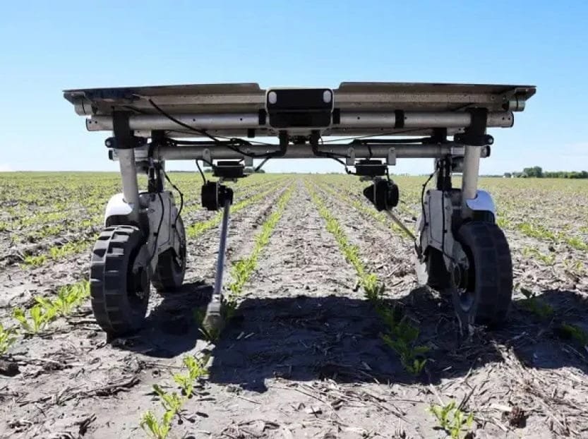 El uso de robots para el control de malezas, la solución definitiva a la resistencia.