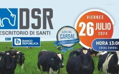 Hoy en Cardal, Di Santi rematará 465 Holando