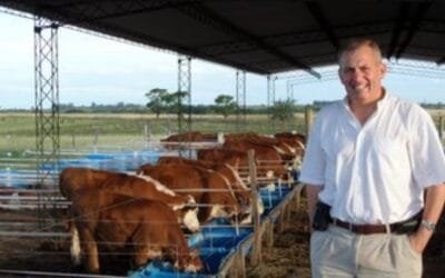 Álvaro Simeone: lupino y arroz como alimento animal; y el cruzamiento como herramienta que se debe usar más.