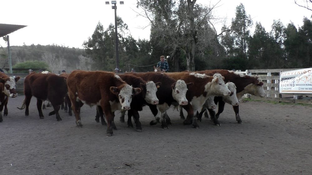 Leonardo Ruglio Bachino tuvo una pista ágil con valores tonificados.