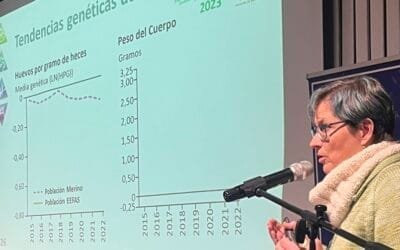 EEFA participó de la Gestación Ovina por primera vez.