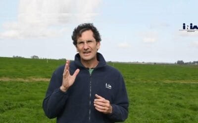 ¿Qué hacer para lograr el mayor potencial forrajero en la primavera?