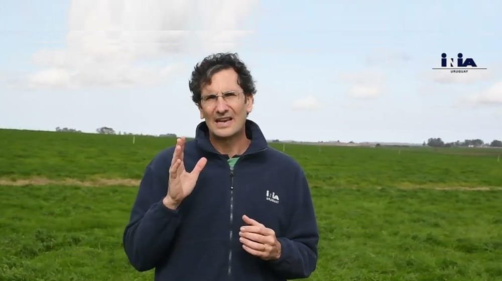 ¿Qué hacer para lograr el mayor potencial forrajero en la primavera?