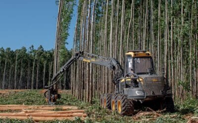 Montes del Plata impulsa oportunidades laborales para mujeres del medio rural.