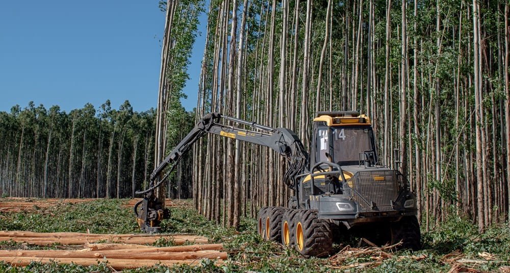 Montes del Plata impulsa oportunidades laborales para mujeres del medio rural.