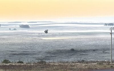 GRAS de INIA advierte sobre temperaturas mínimas en superficie.