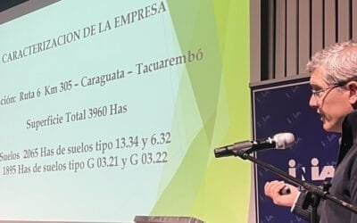 Cambio de raza para hacer un ovino rentable.