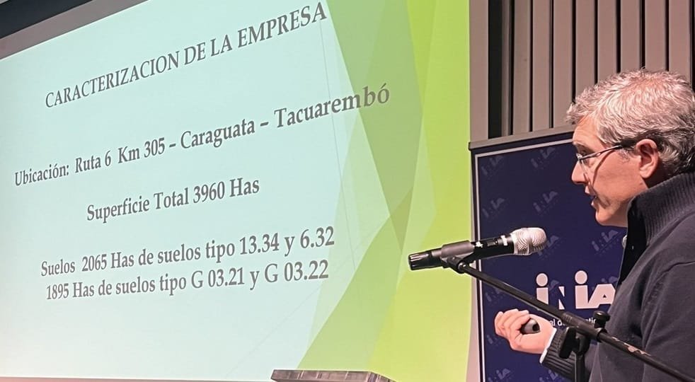 Cambio de raza para hacer un ovino rentable.