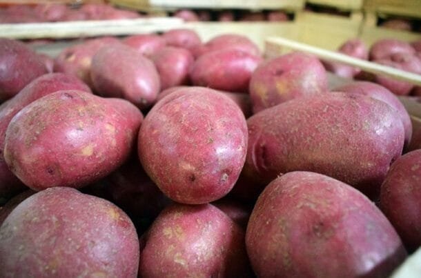 Abundancia invernal presiona precios a la baja, pero el conflicto del transporte escasea frutas y verduras del norte