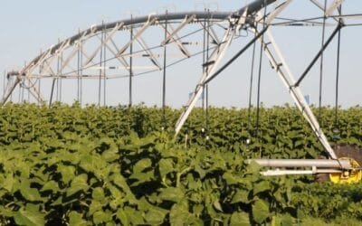 En Argentina el riego mejora los rendimientos agrícolas entre 28% y 115%, según el cultivo donde se aplique.