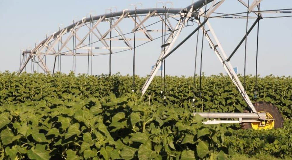 En Argentina el riego mejora los rendimientos agrícolas entre 28% y 115%, según el cultivo donde se aplique.