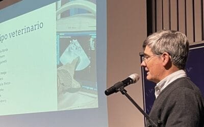 Dr. Bordaberry: “Es el año con menor aplicación de técnicas” ovinas.